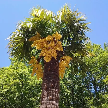 Bed & Breakfast L'angelo Pescatore *