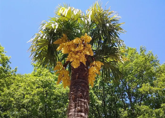 Bed & Breakfast L'angelo Pescatore *